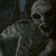 Illustration for article titled iThe X-Files/Millennium/i: F. Emasculata/Soft Light/Our Town/Anasazi